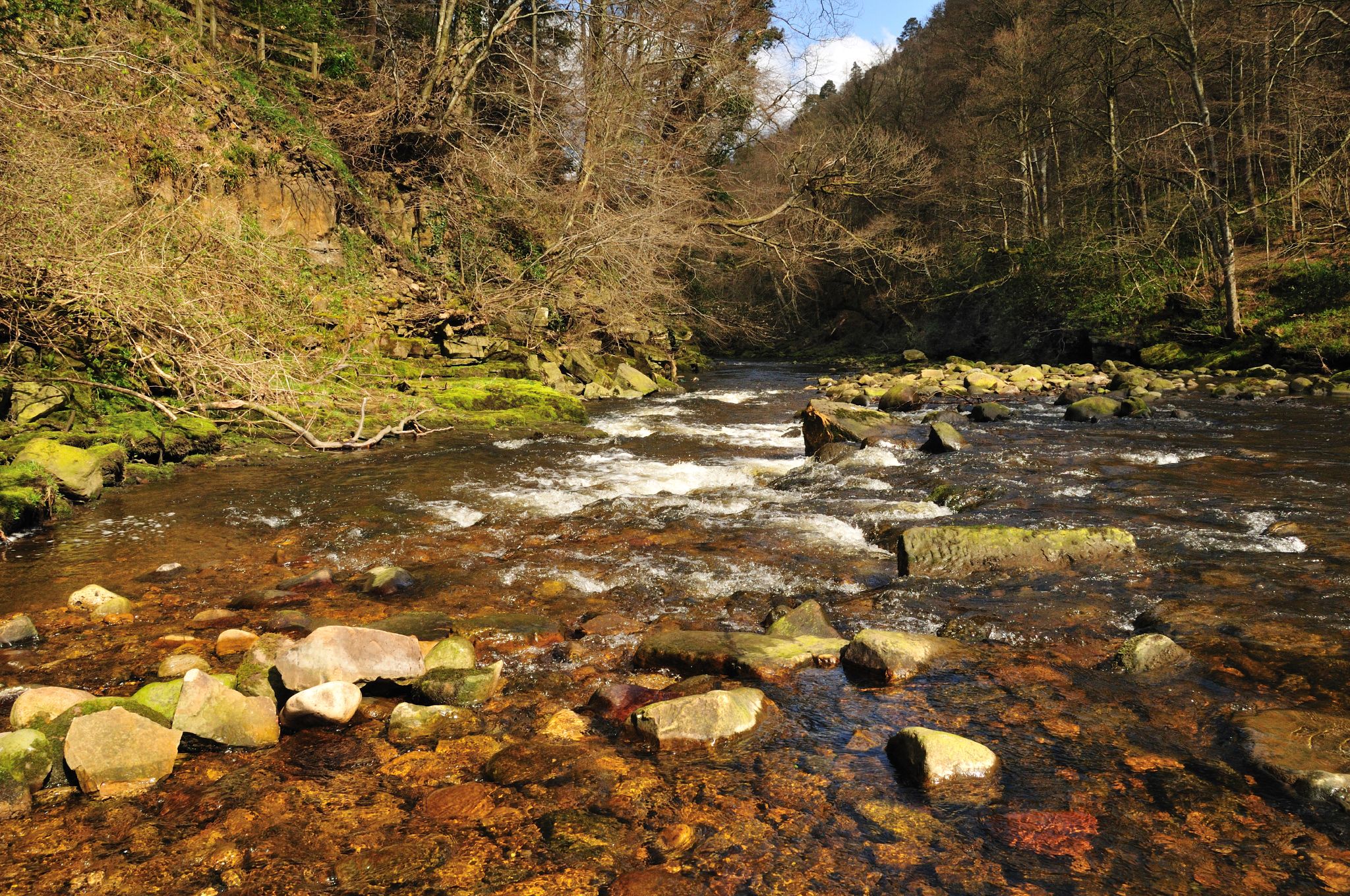 a rocky river runs through a forest, making it clear for fish to enter the water