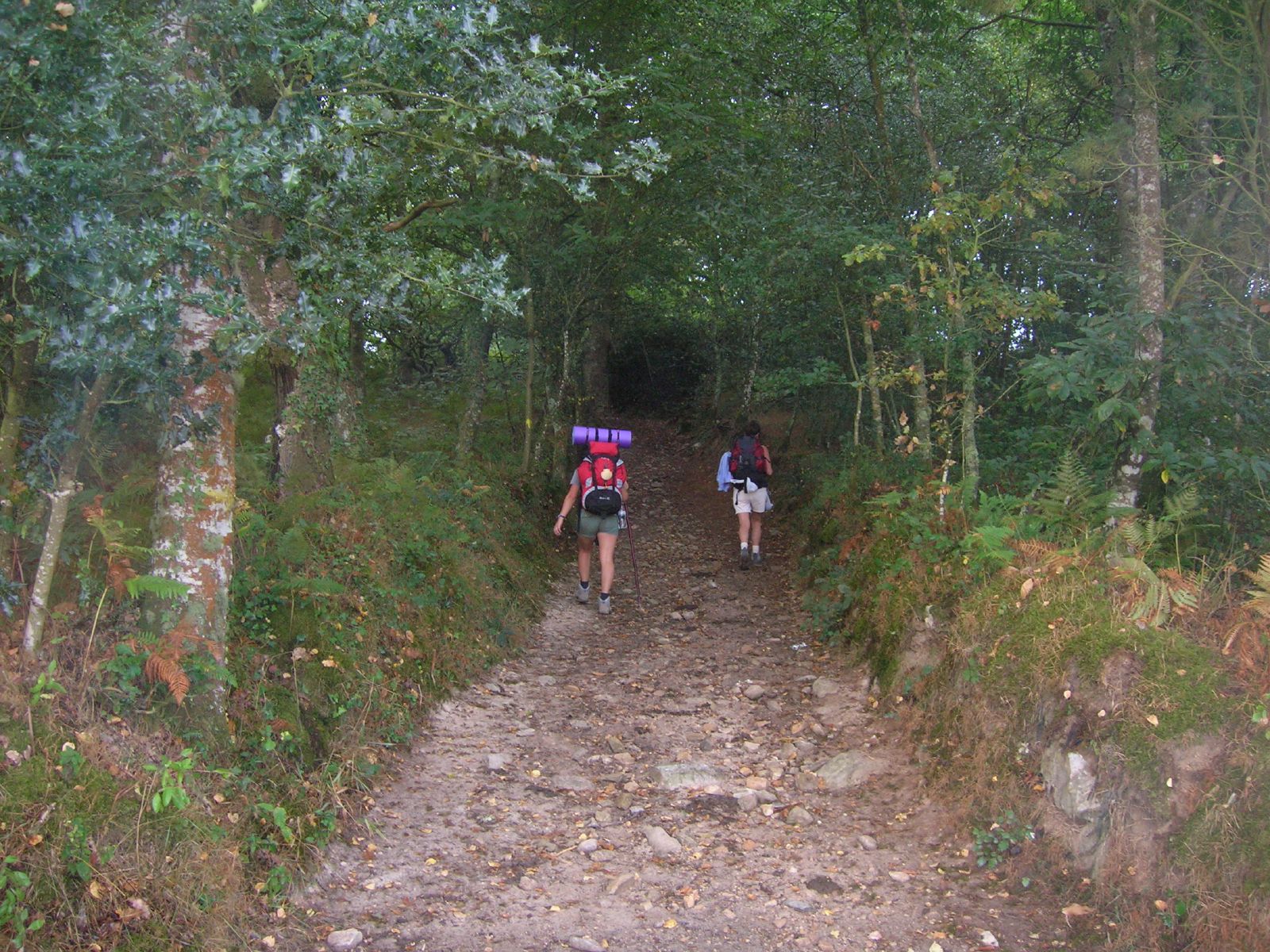 two hikers with packs heading into a wooded area