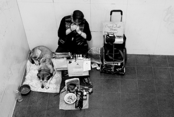 a woman sitting on the floor using her phone and her dog