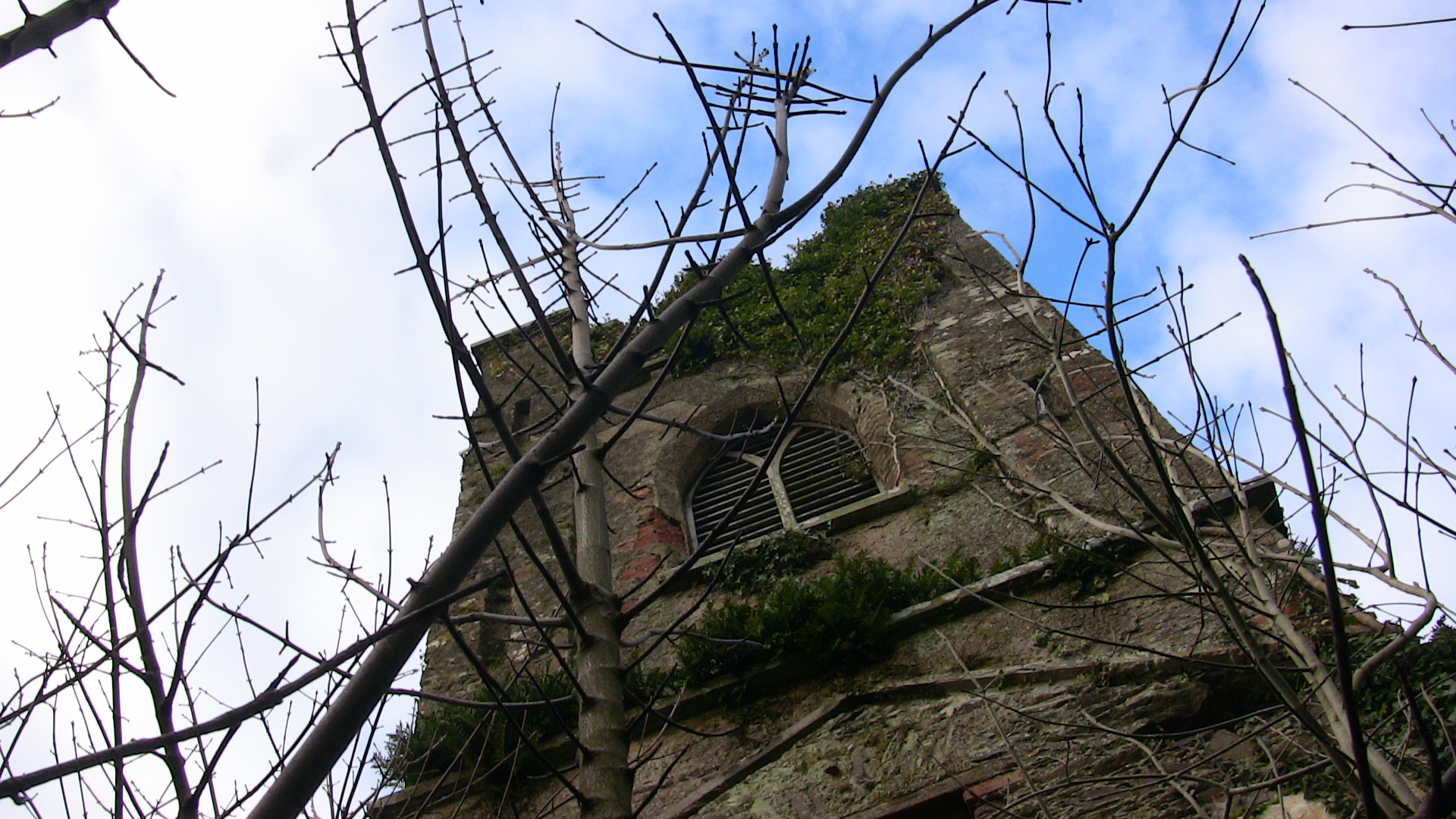an old church is seen through the nches