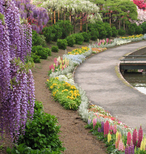 a pathway surrounded by flowers and other plants