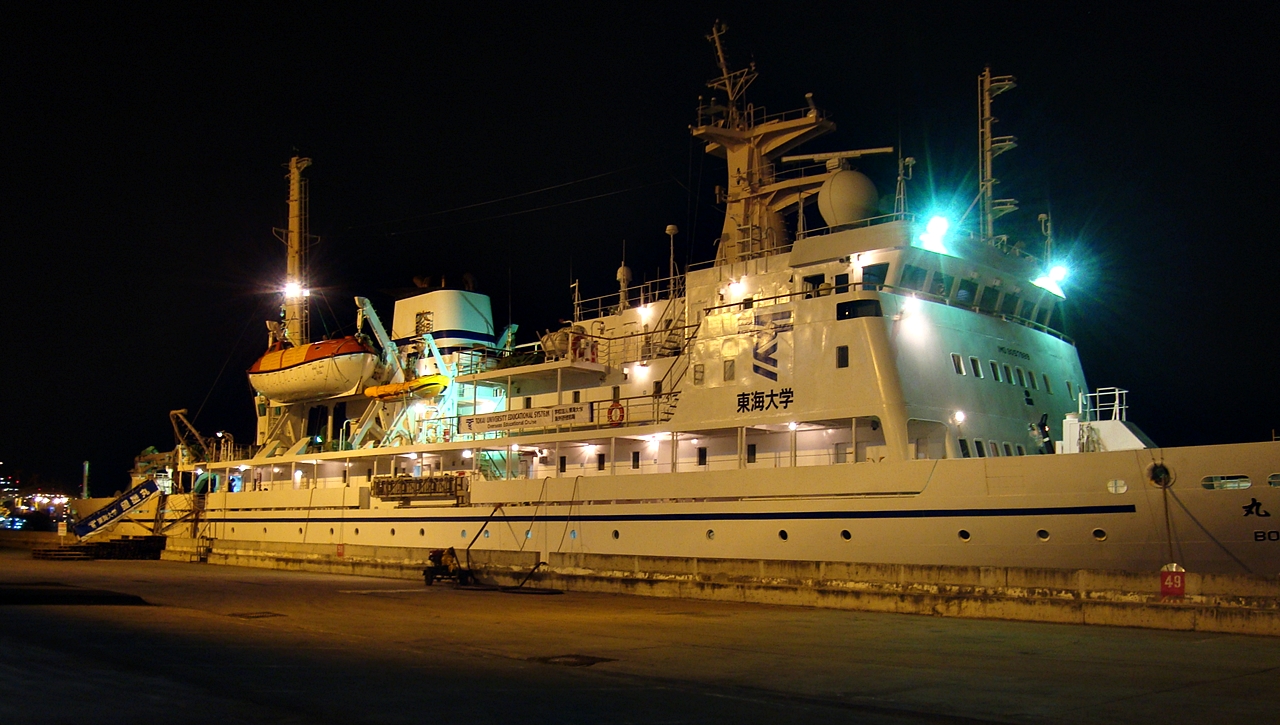 a huge boat sits at a dock during the night
