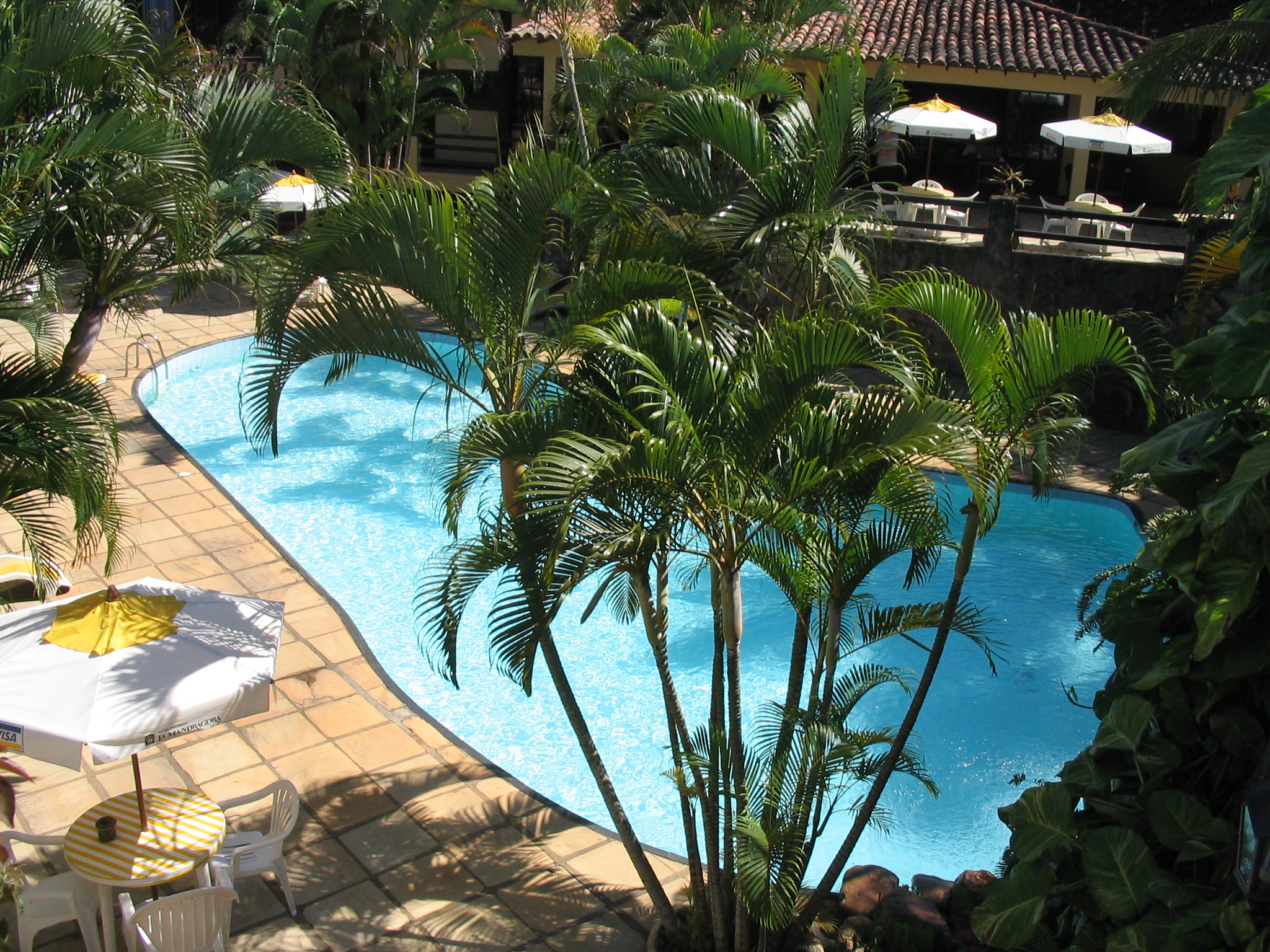 an outdoor swimming pool with lounge chairs and trees