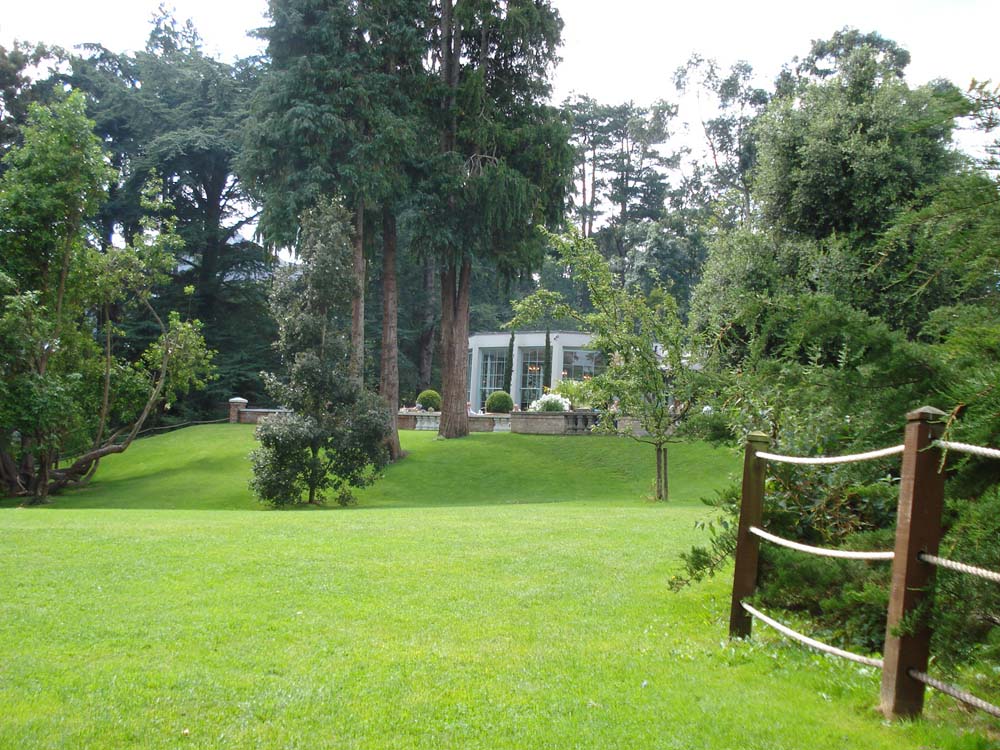 a house in a wooded field near some trees