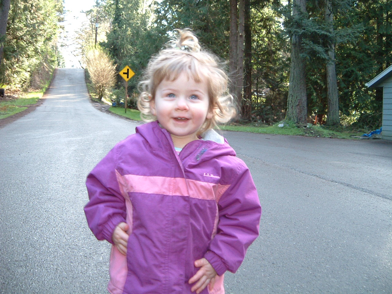 a  stands in the road looking up at the camera