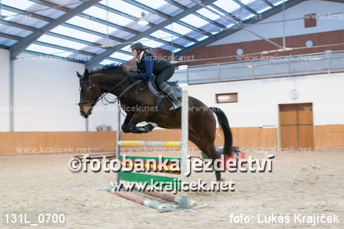 the rider jumps a horse over an obstacle
