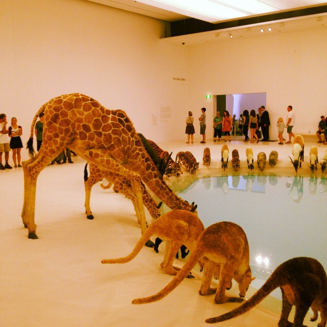a number of animals near a swimming pool