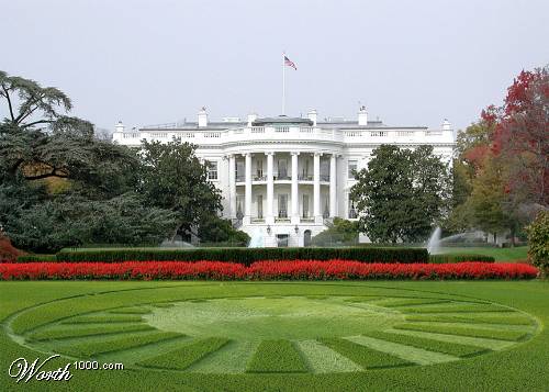 the white house is a beautiful place to see