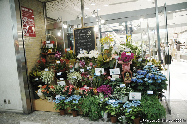 a garden shop with flowers and plants for sale