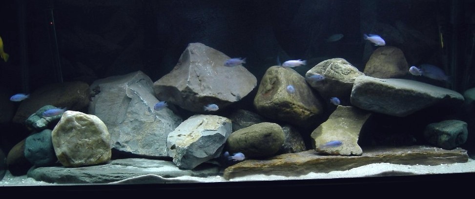 a tank of some kind with several rocks in it