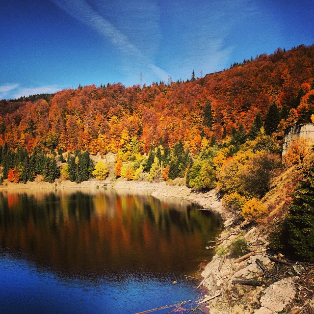 a small lake surrounded by a forest in the fall