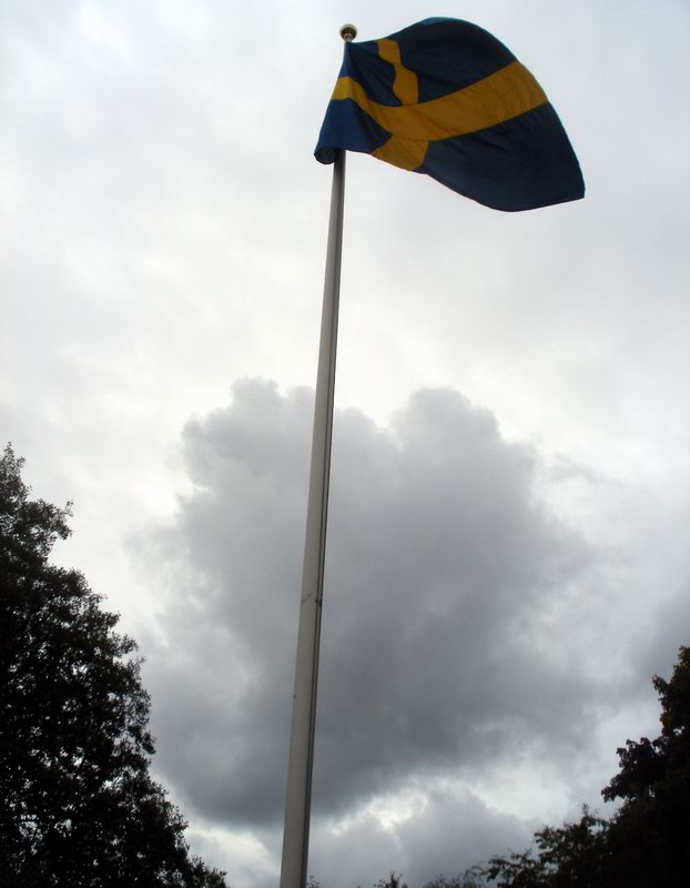 an image of a flag on a pole with clouds behind it