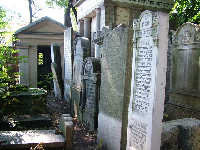 a collection of headstones in a jewish cemetery