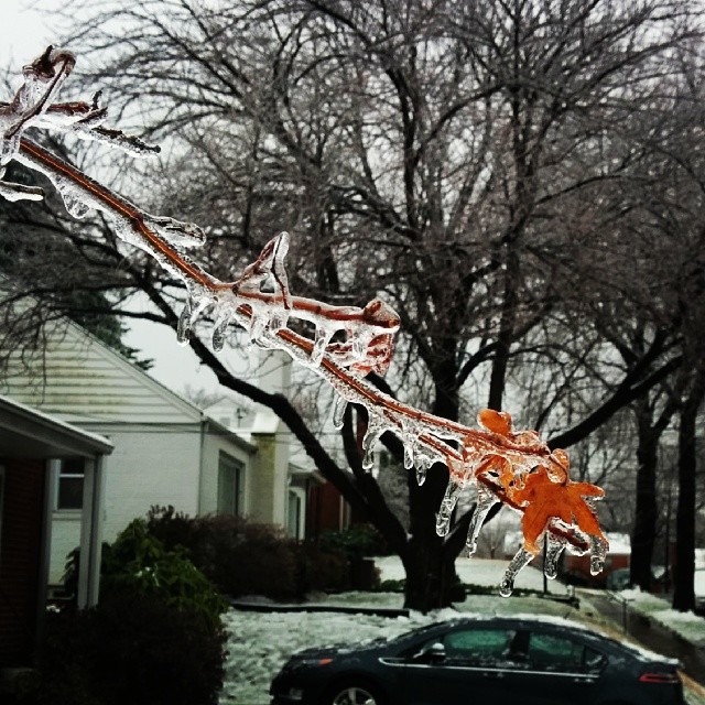 an ice like artwork is being displayed in front of houses