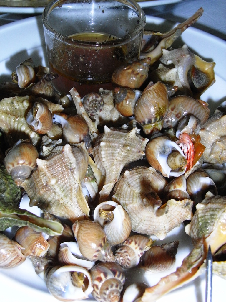 a plate of various sea shells and a jar