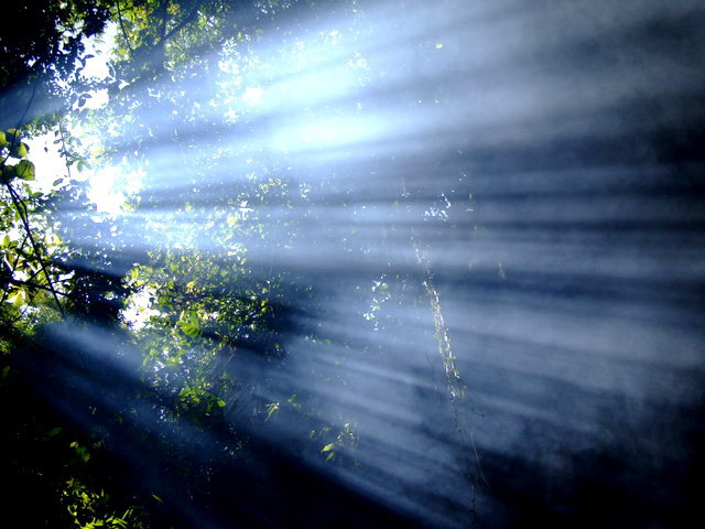 a sunlight shining from above trees through a lens
