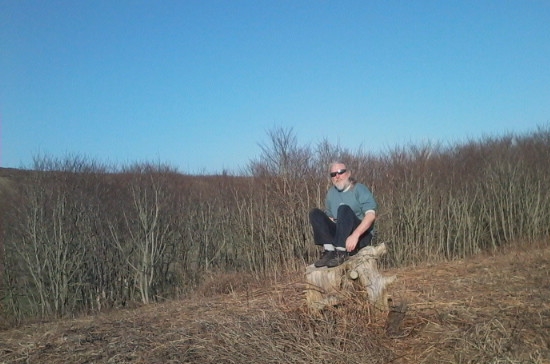 a man sitting on a stump of wood near a field of bushes