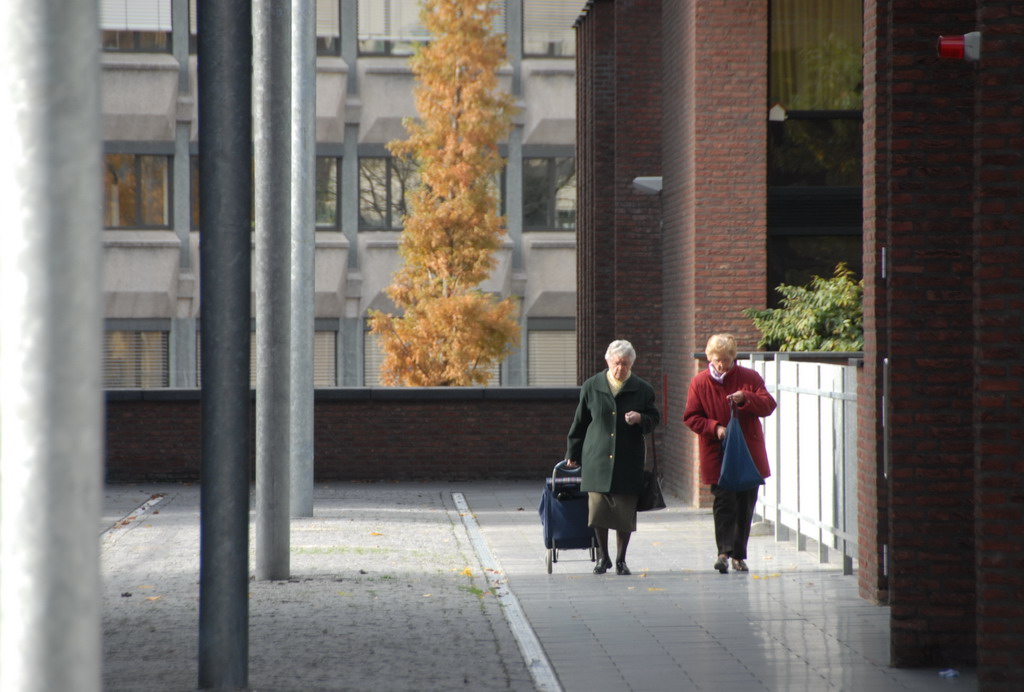 the women are walking along the sidewalk carrying their luggage