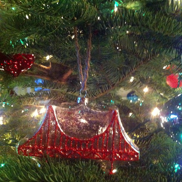 the ornament is hanging on a christmas tree