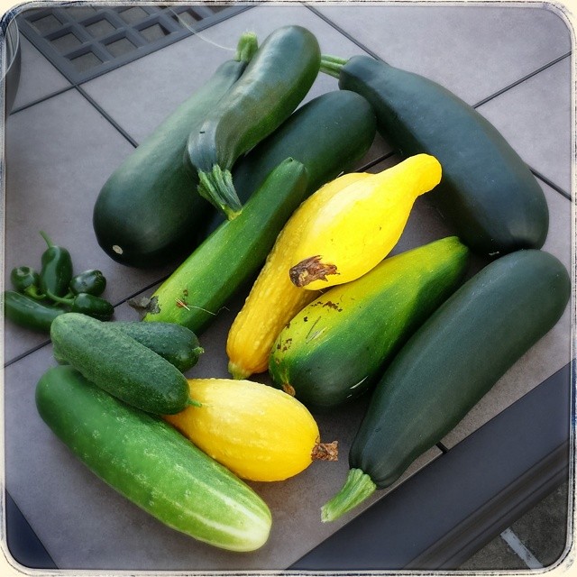 cucumbers and squash are arranged in this image