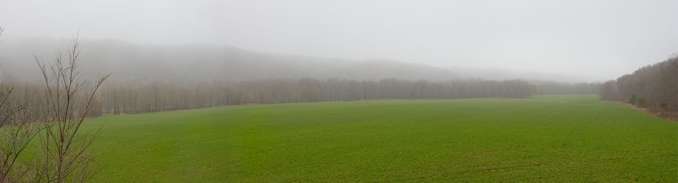 a large field of grass next to a forest