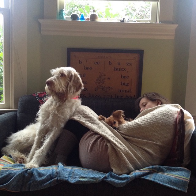a woman wrapped up on her couch with two dogs