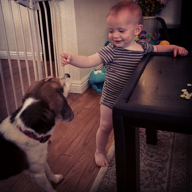 a baby is holding soing near a small dog