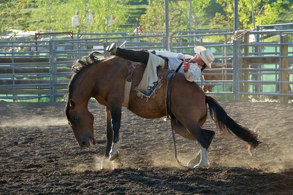 a man on a horse with a saddle in the air