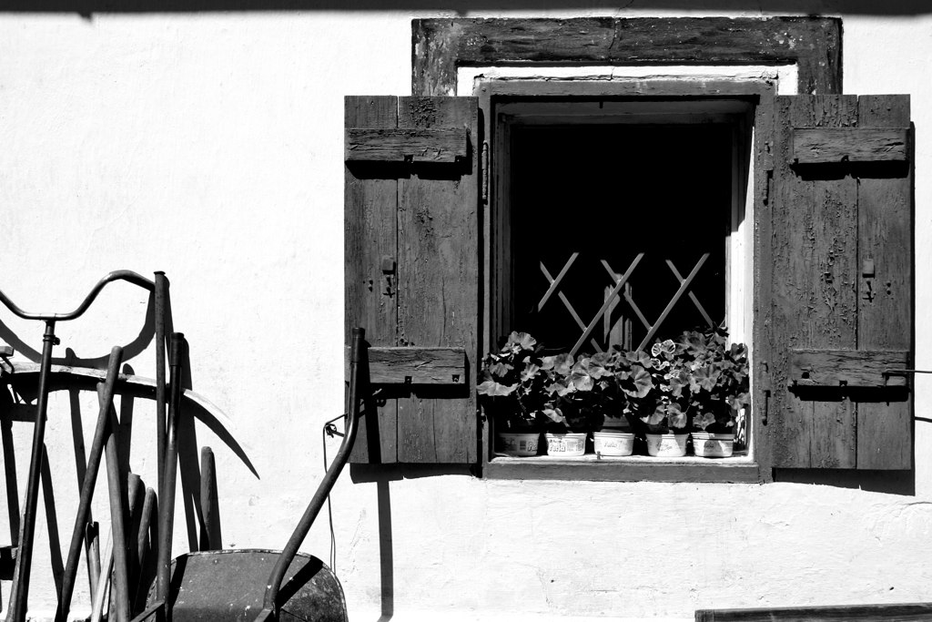 a black and white image of a window with flowers