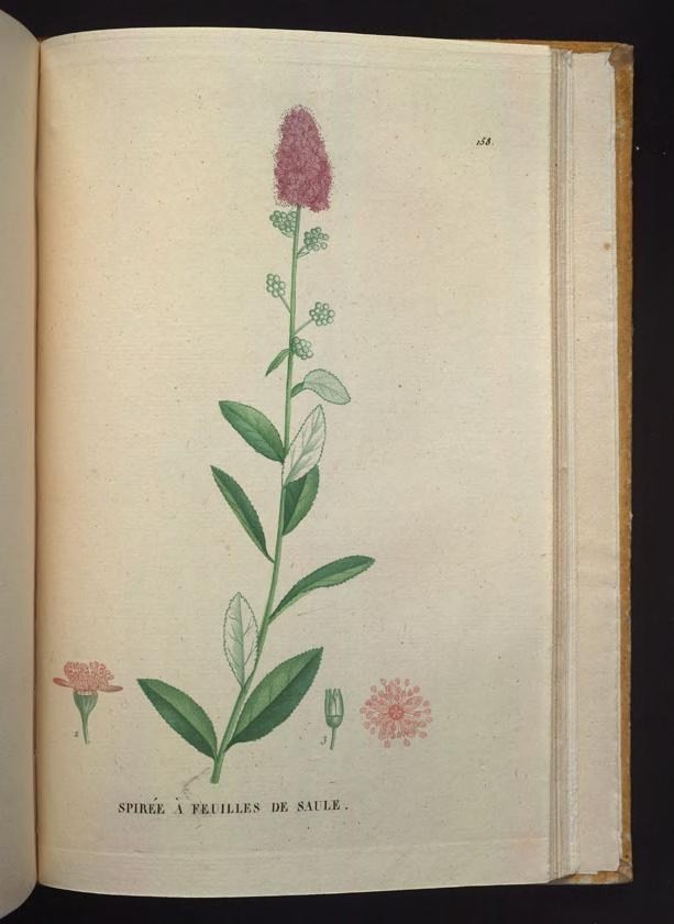 an open book with a picture of pink flowers on the front of it