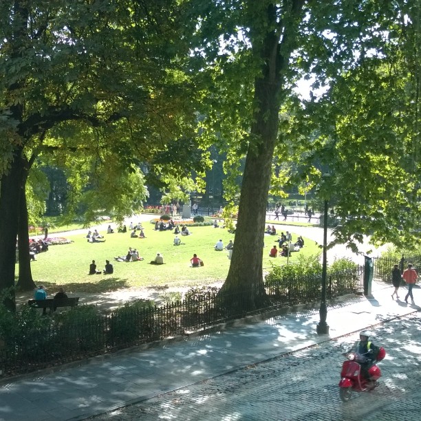 an image of the park with people sitting on the grass