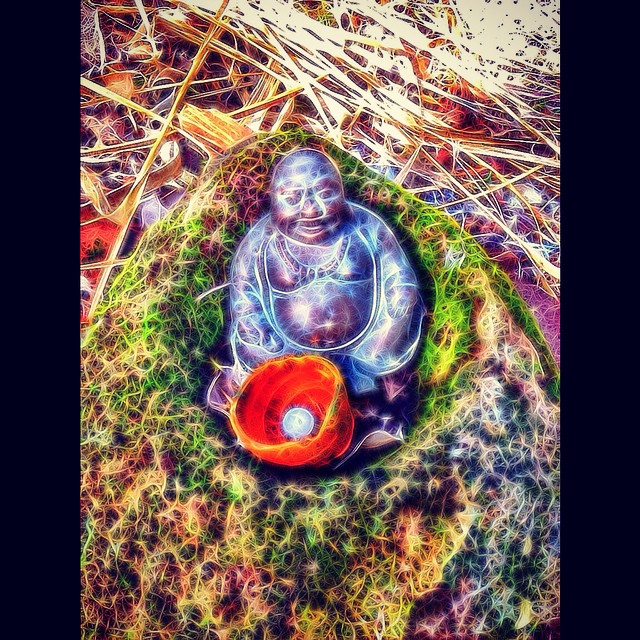 an image of a buddha statue and bowl in the grass