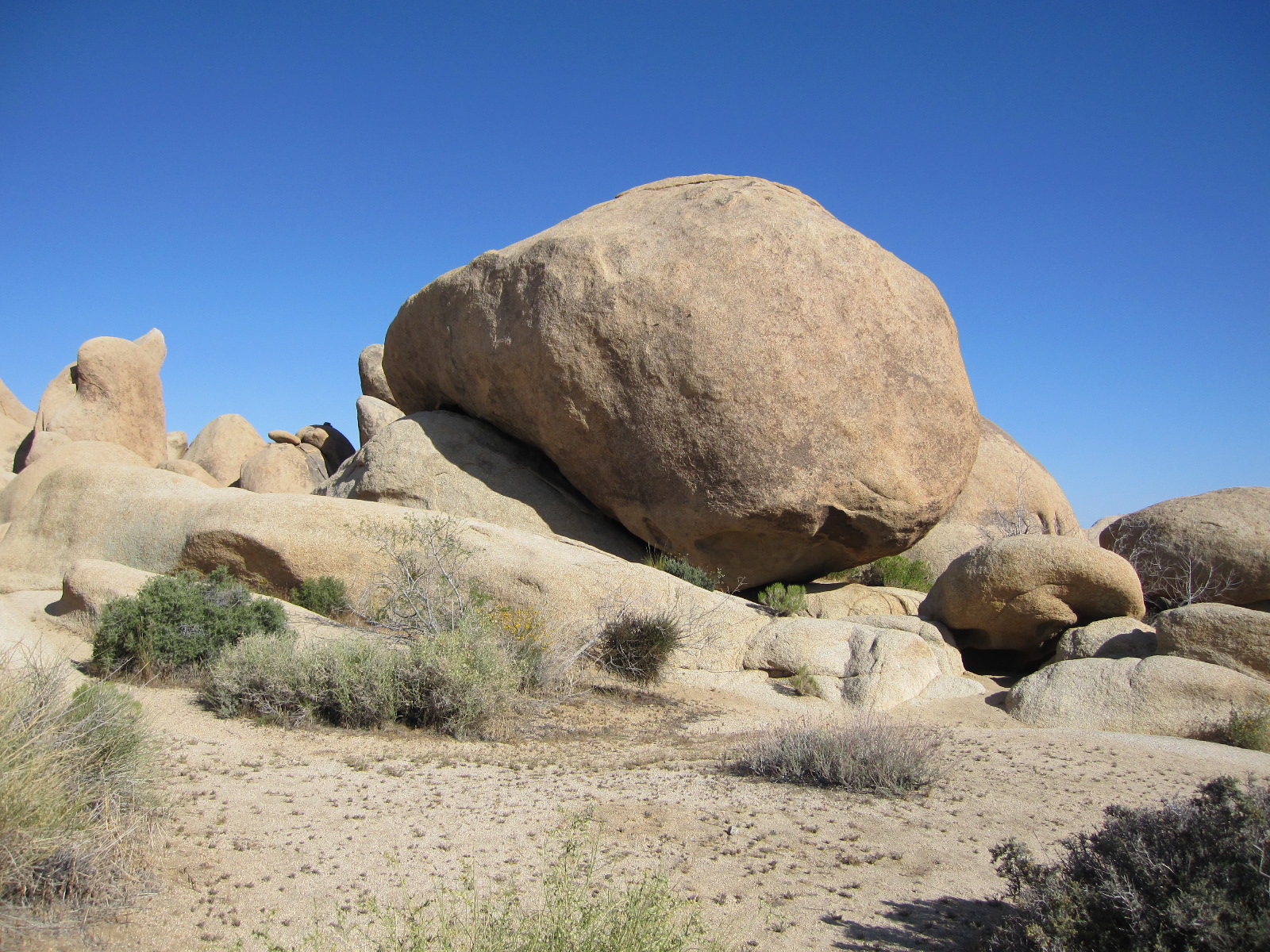 rocks and bushes in the desert near a hill