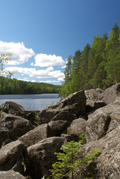 rocky landscape and a tree - lined lake in the distance