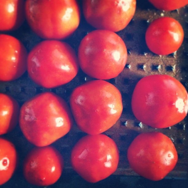 several red tomatoes have been cooked in a deep fryer