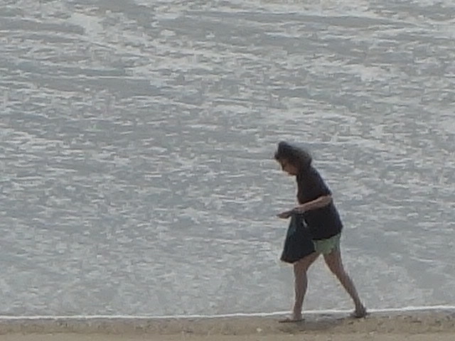 a woman on the beach walking with her dog