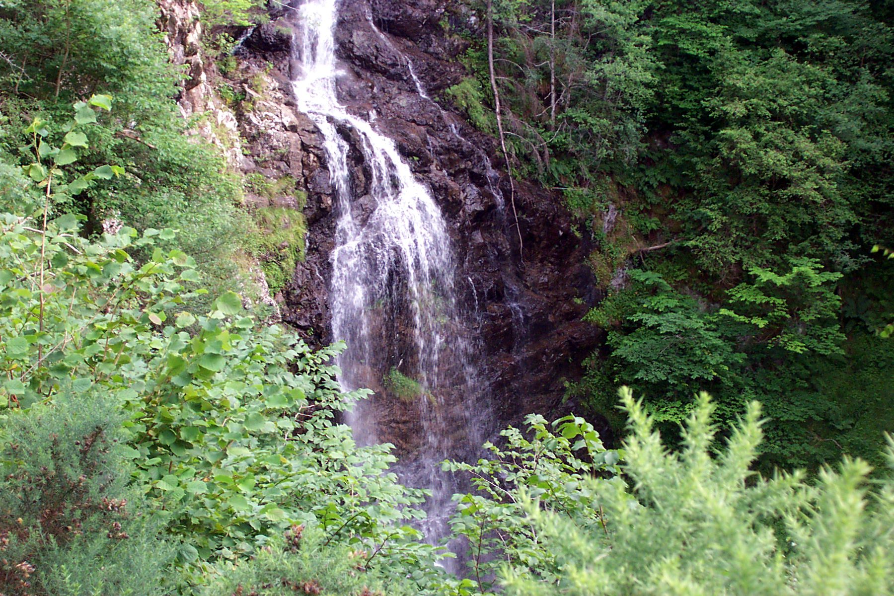 a waterfall in the forest surrounded by trees