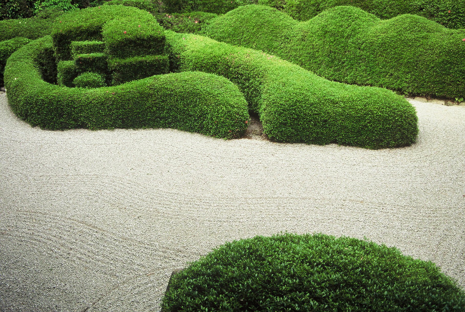 an abstractly designed green hedge on the ground