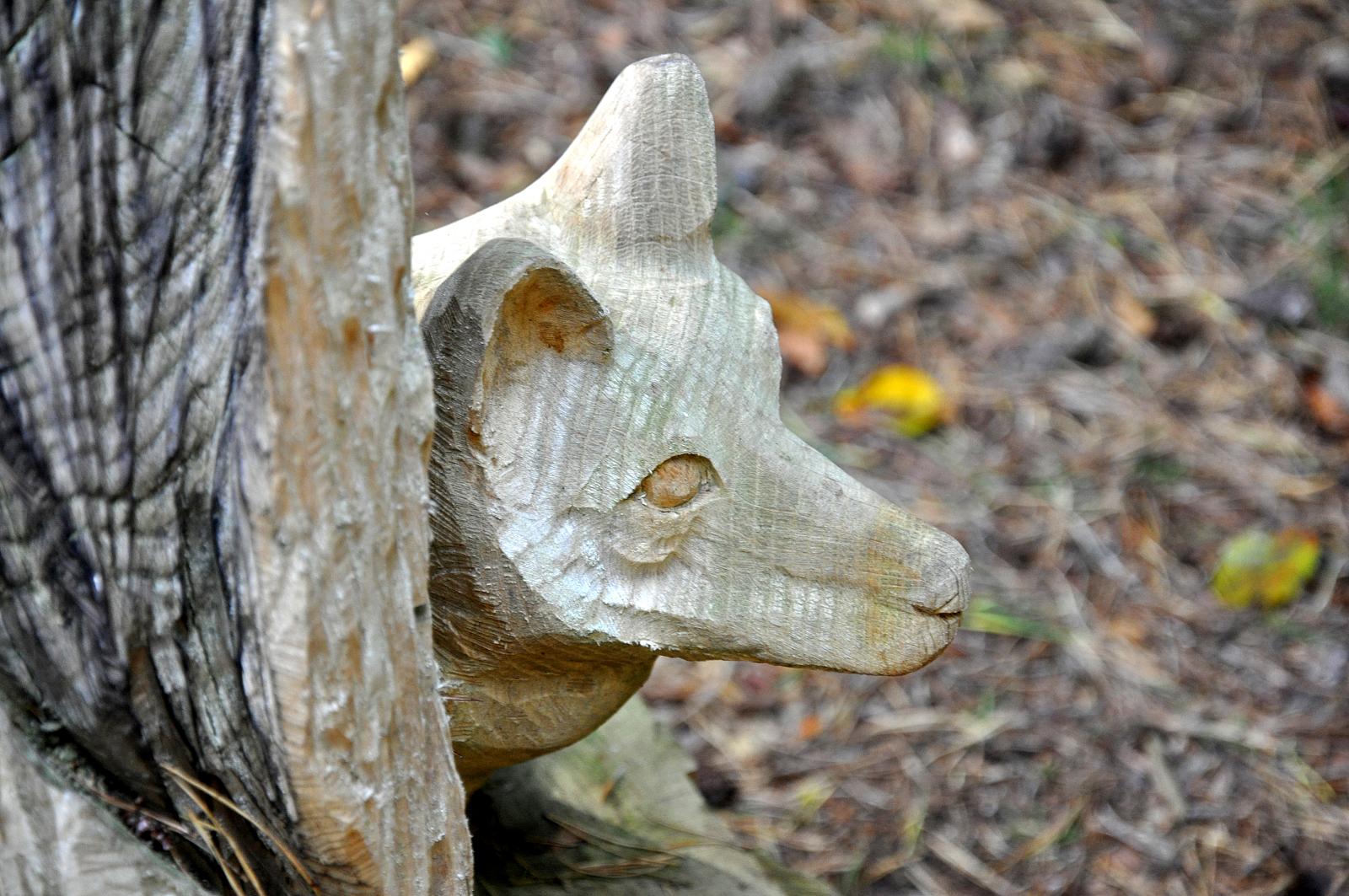 an old wooden object is standing up on the tree