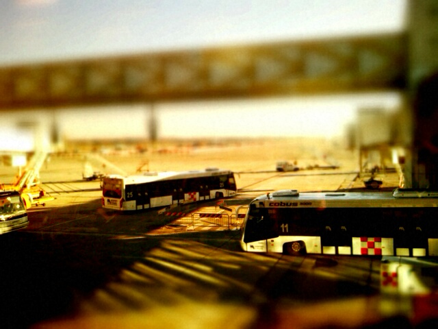 city busses parked at the train station waiting for passengers