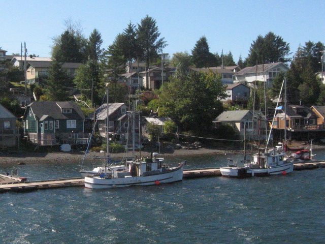 four sailboats in water near residential area near dock