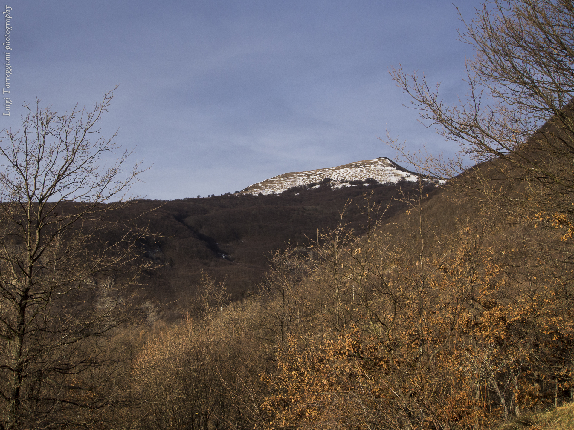 the mountains rise above the trees with no leaves