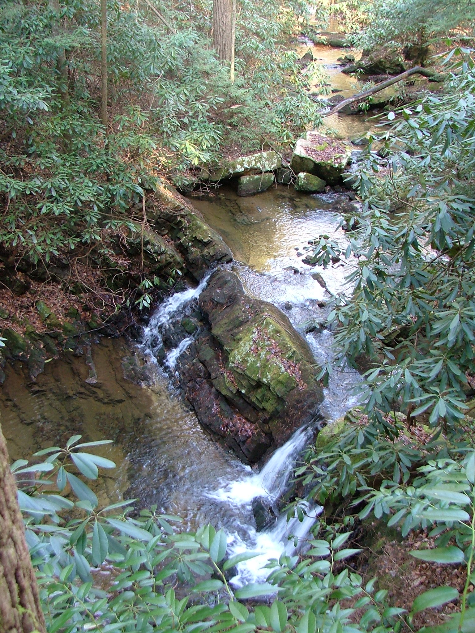 a river runs through the woods past some big rocks