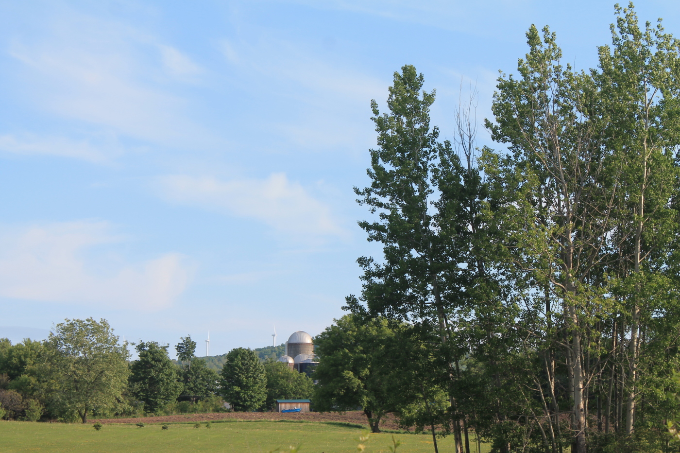 a big grassy field with trees and a water tower in the distance