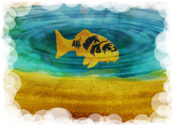 a golden fish swimming over blue water with bubbles