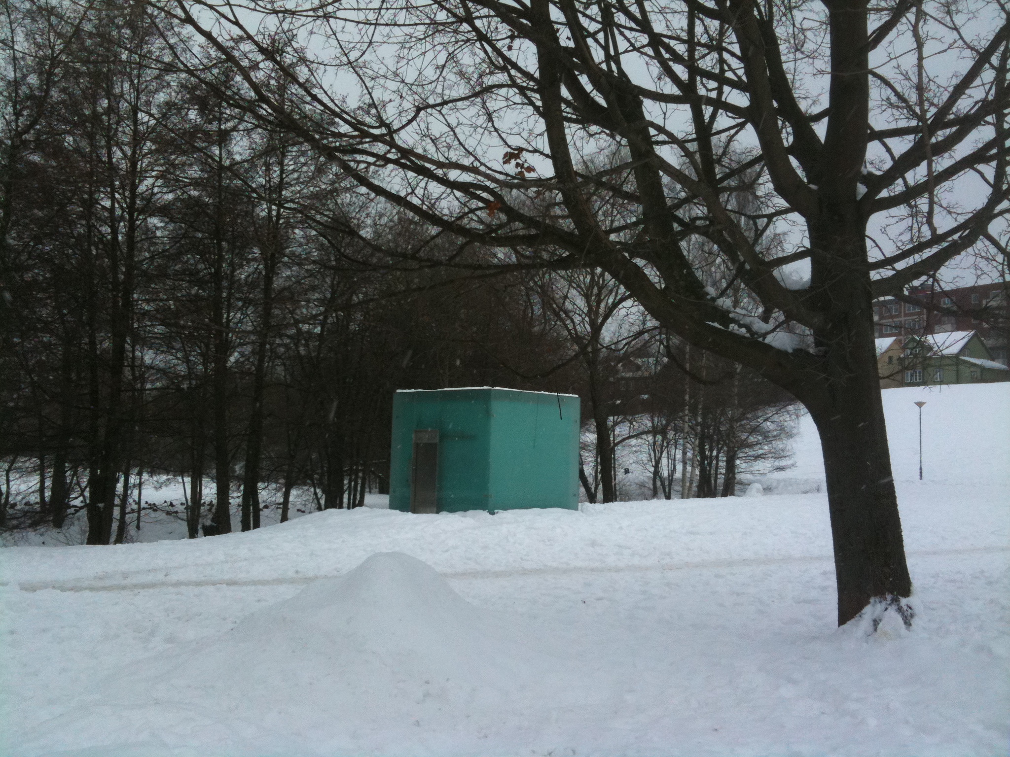 a small blue building sits in the snow near a large tree