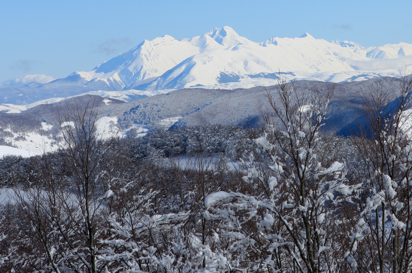 the snow covered mountains and trees can be seen from the distance