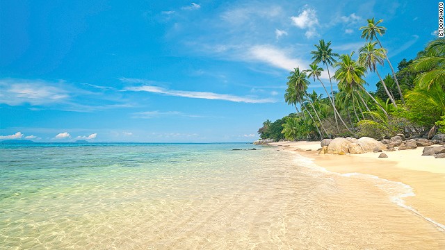 a sandy beach with a turquoise ocean and palm trees