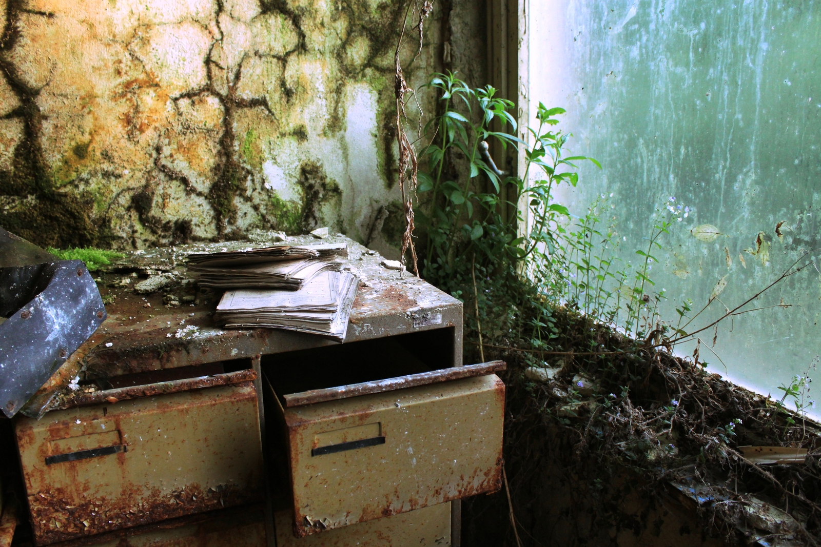 an abandoned room with moss and vines growing out of it
