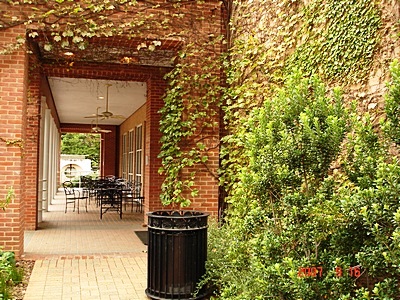 a walkway with plants and tables on both sides